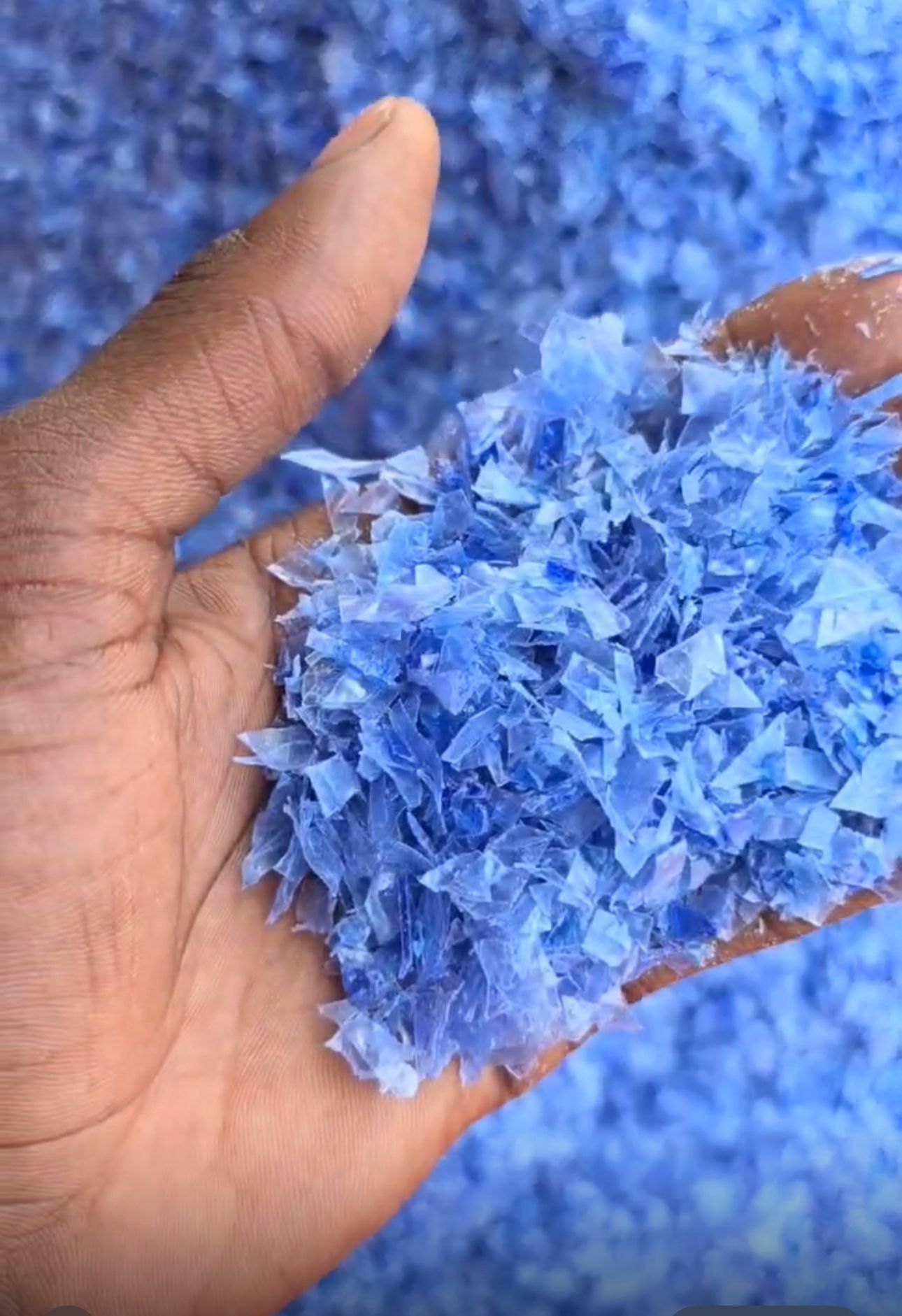 Blue PET flakes, Golden Nexus